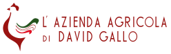 azienda_agricola_di_david_gallo